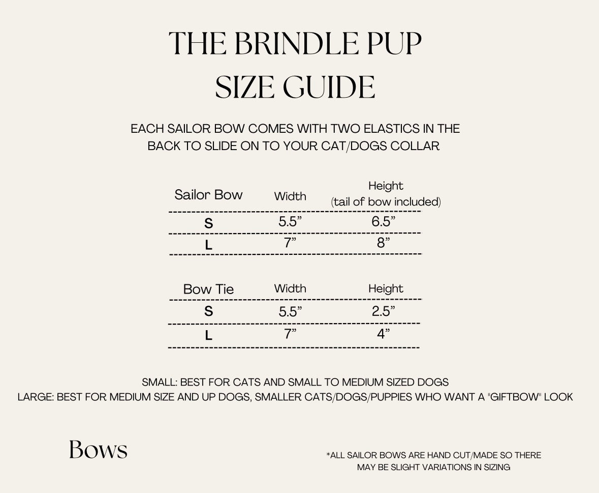 Mystery Fall Pet Bow