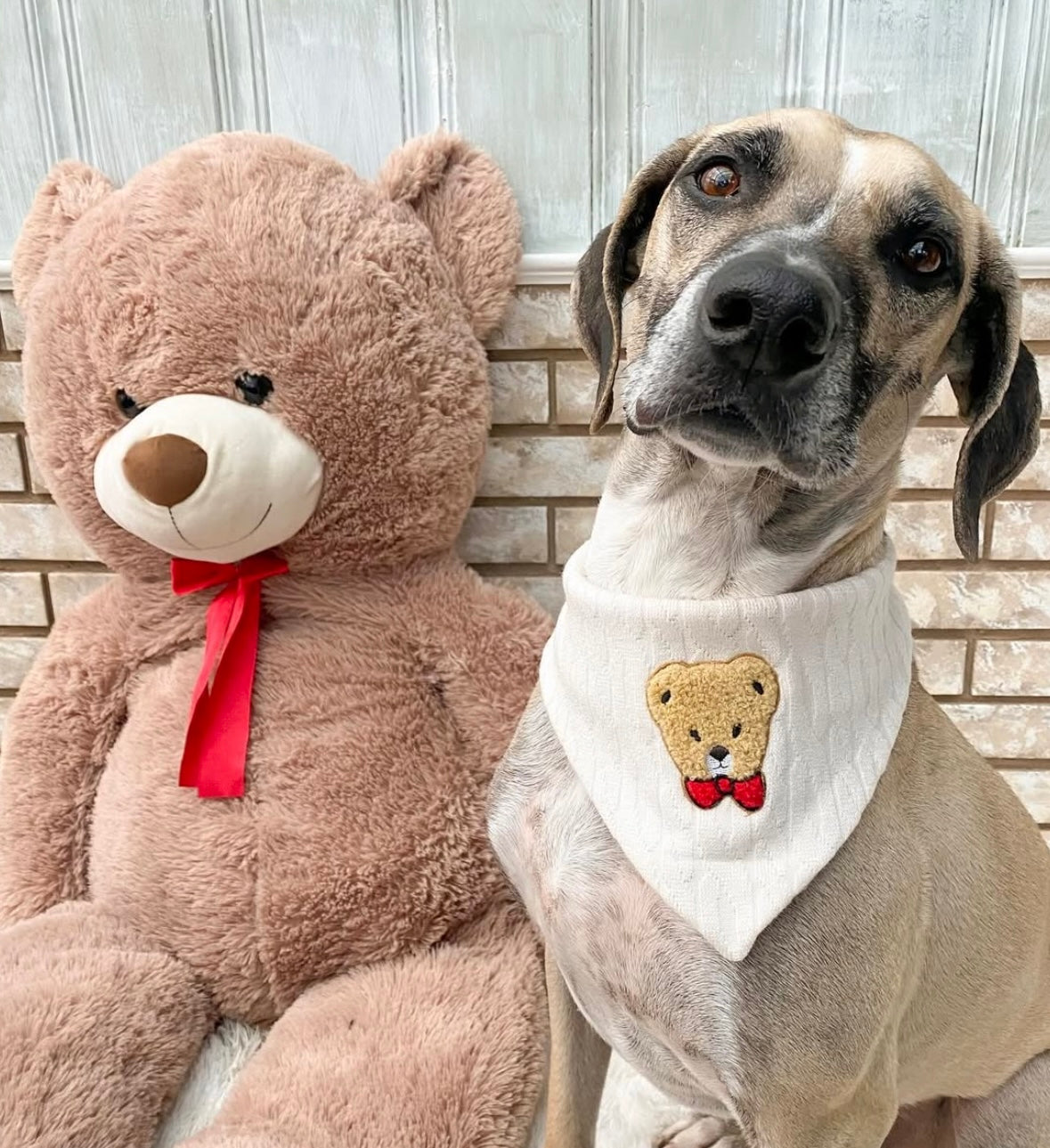 Teddy Bear Knit Bandana