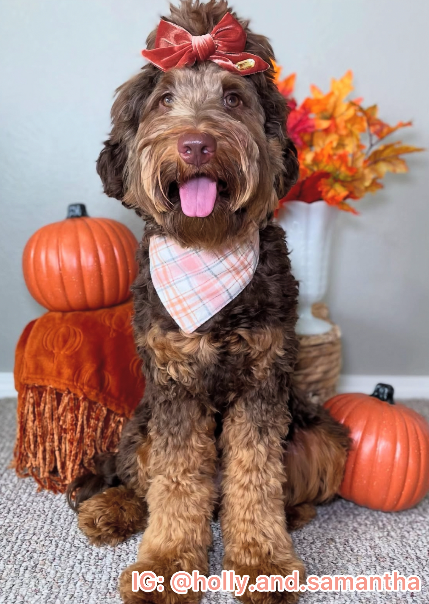 Blushing Cider Plaid Bandana