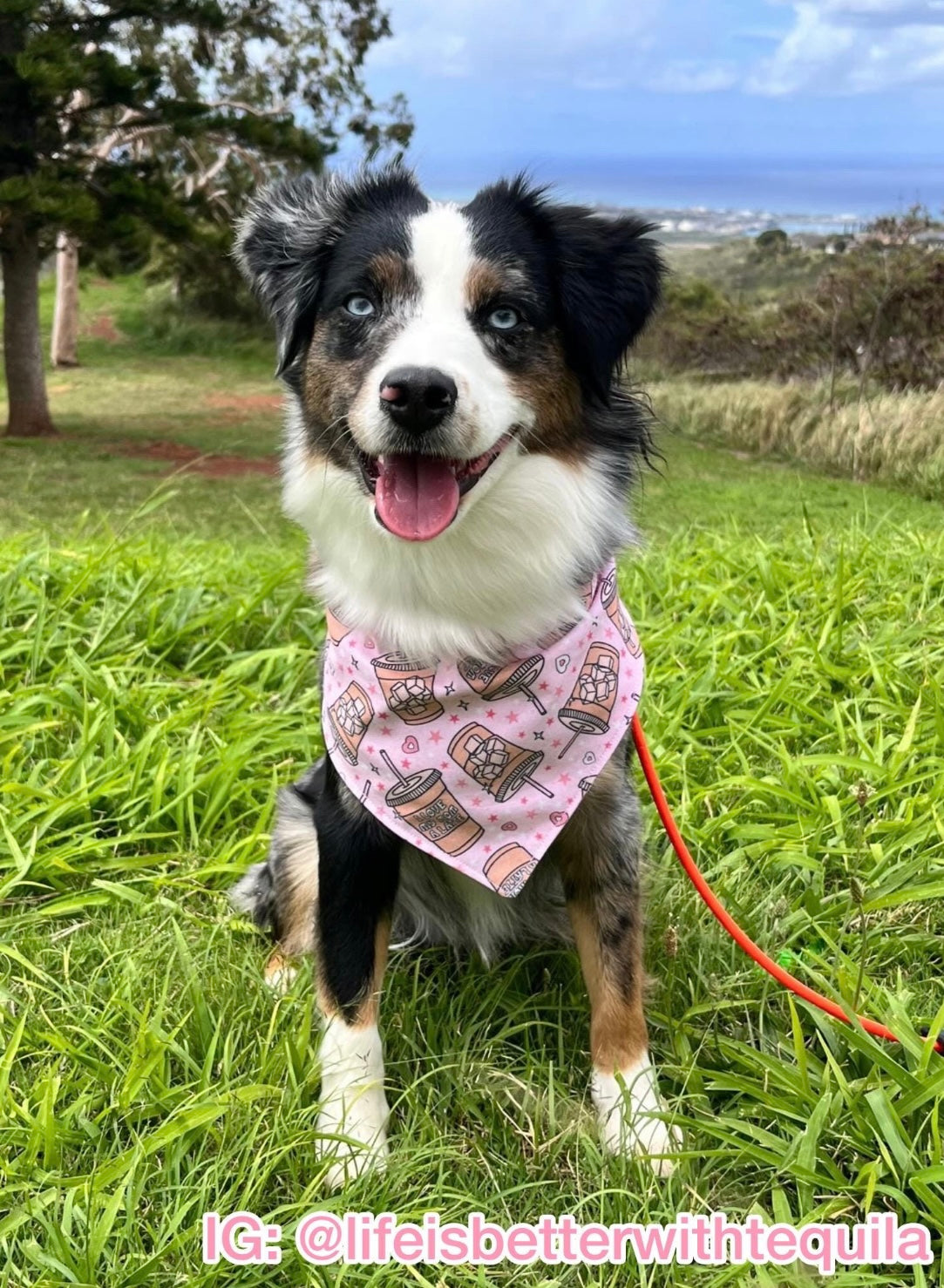 Pink I Love My Mom A Latte Bandana