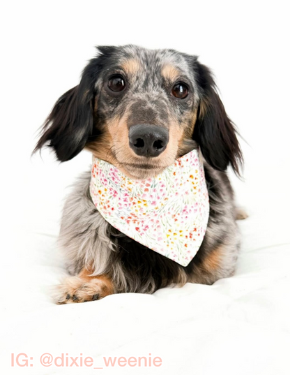 Wildflower Bandana