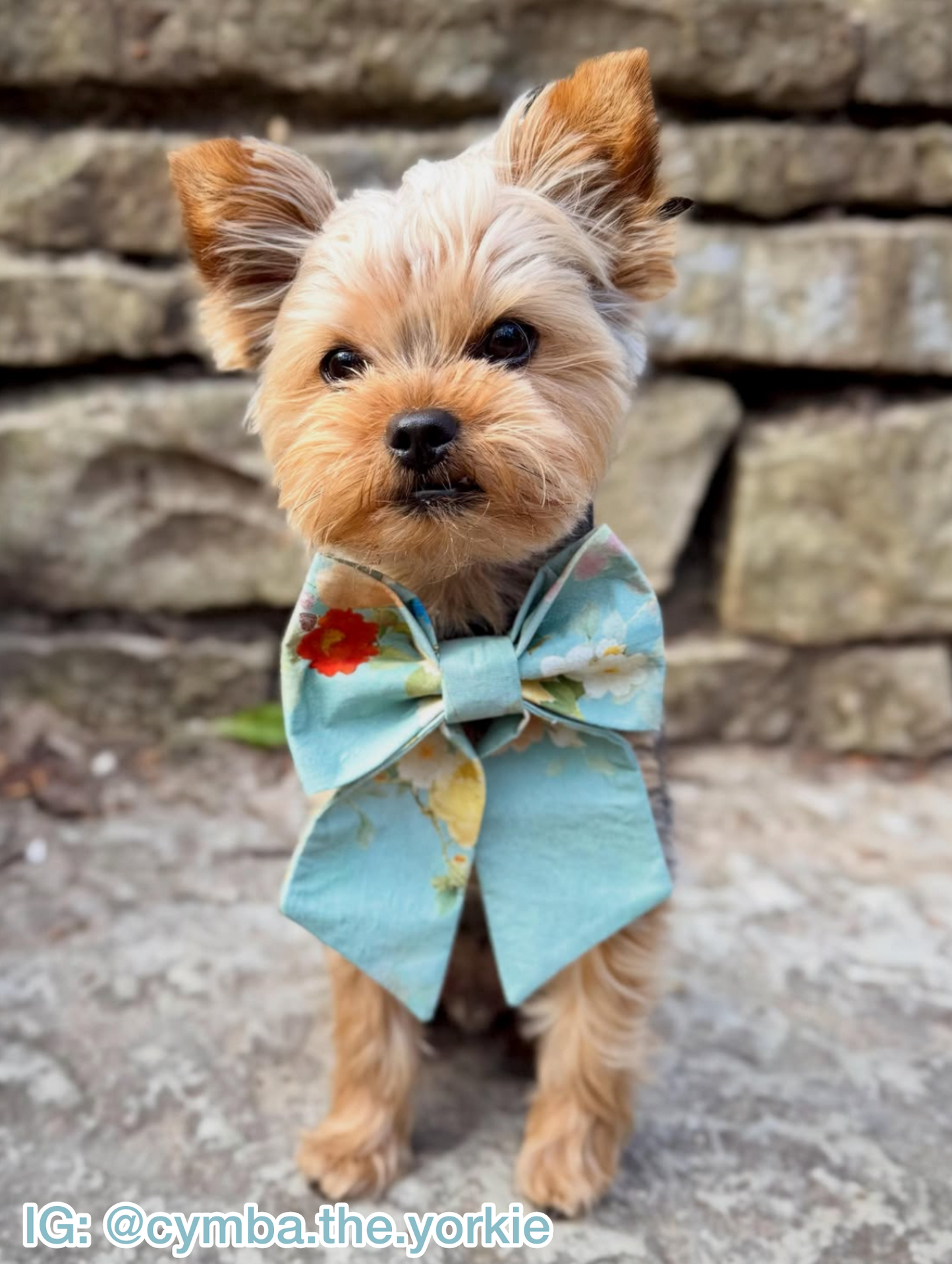 Flowers for Ophelia Pet Bow
