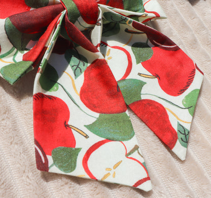 Apple Picking Pet Bow