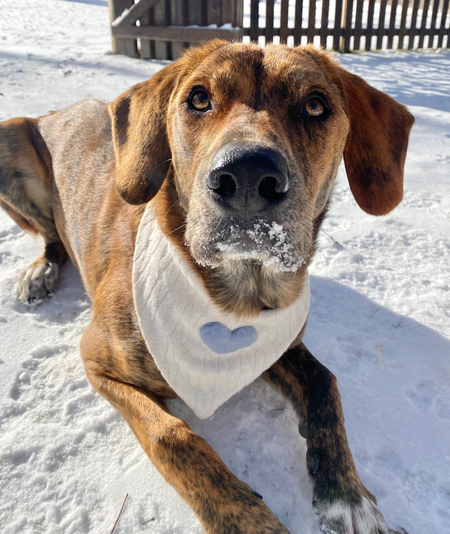 Fluffy Heart Bandana