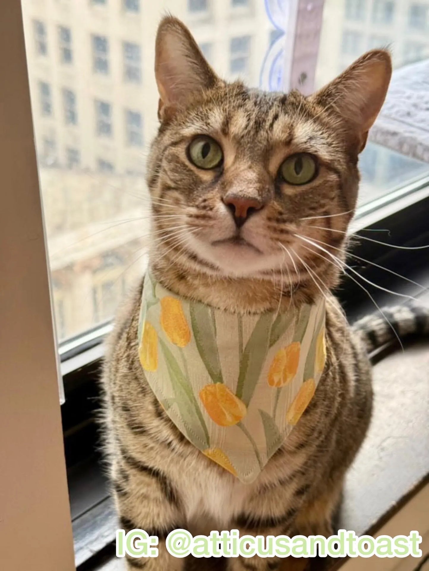 Field of Tulips Bandana