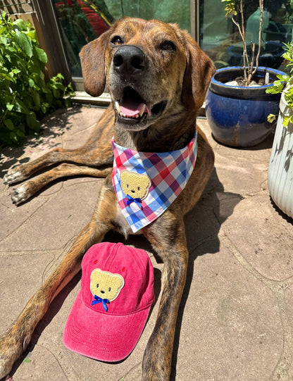 Beary Patriotic Bandana