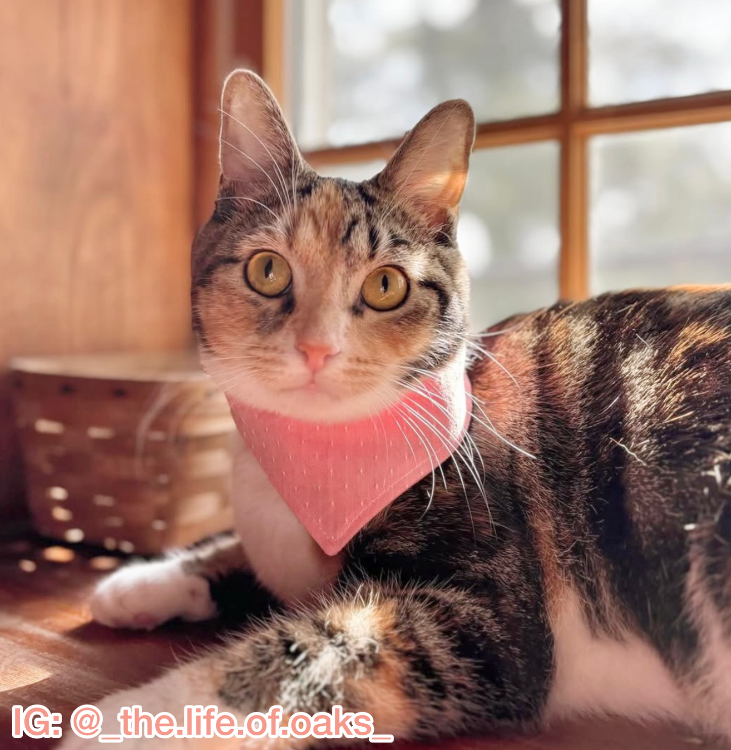 Raised Pink Dots Bandana