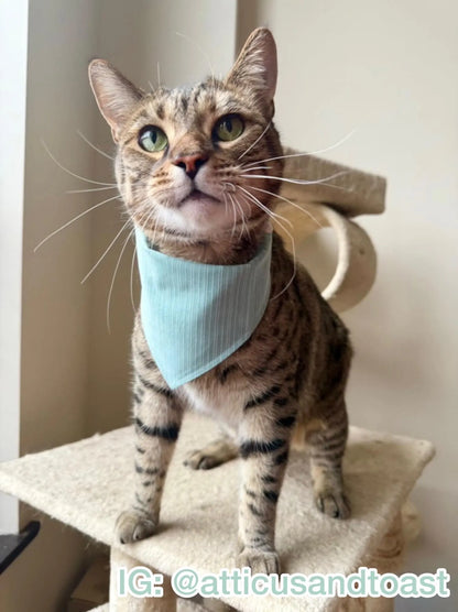Raised Light Teal Stripes Bandana