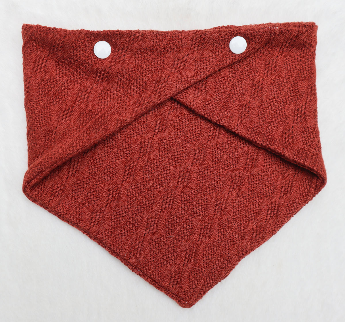 Toasted Pumpkin Sweater Weather Bandana