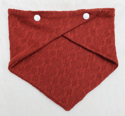 Toasted Pumpkin Sweater Weather Bandana