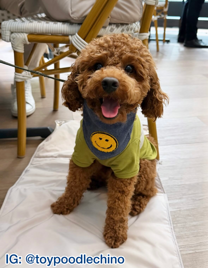 Smiley Face Patch Bandana
