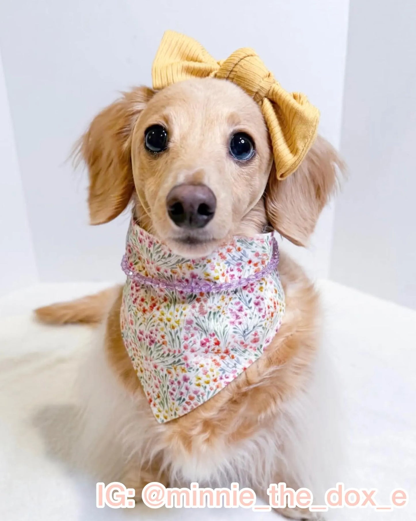 Wildflower Bandana
