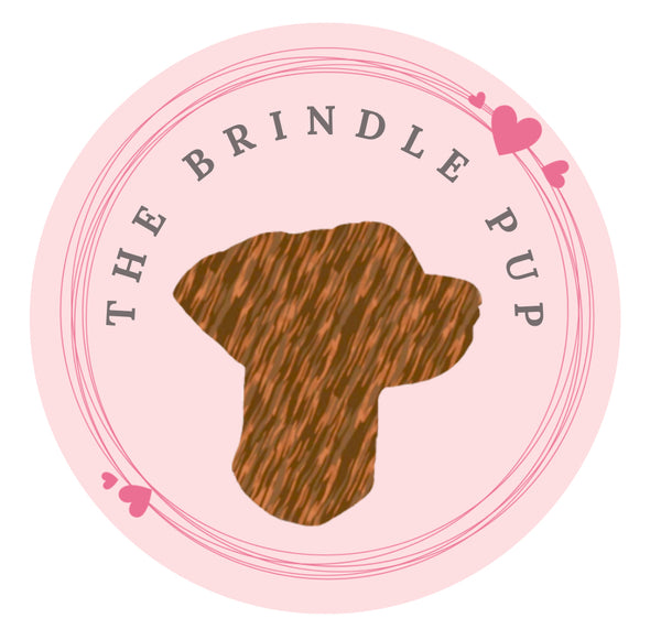 The Brindle Pup
