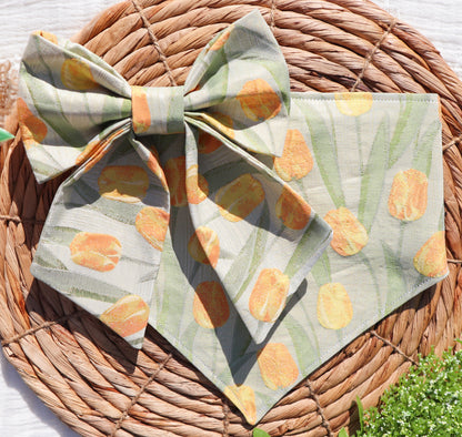 Field of Tulips Pet Bow