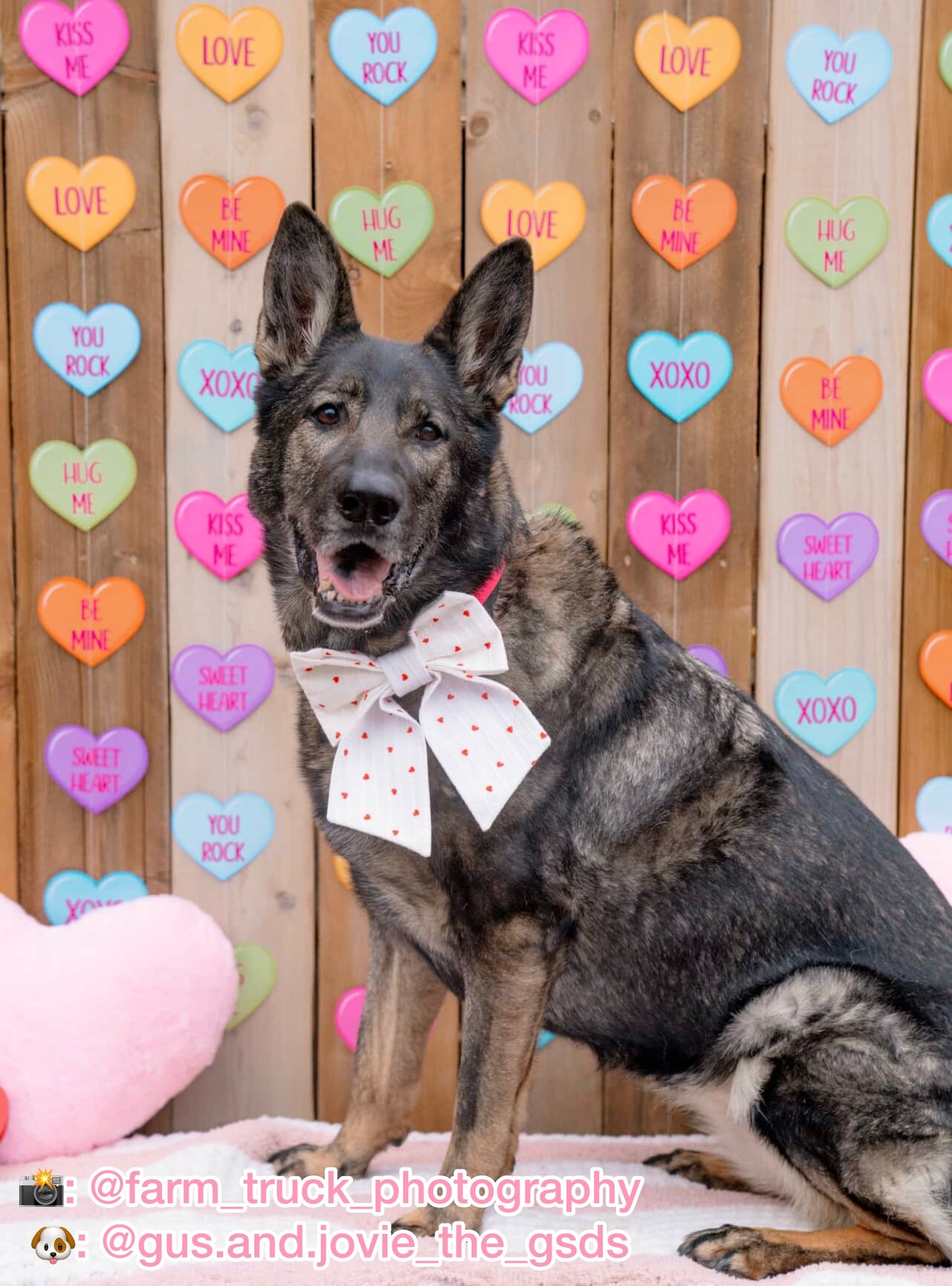 Lots of Love Pet Bow