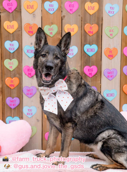 Lots of Love Pet Bow