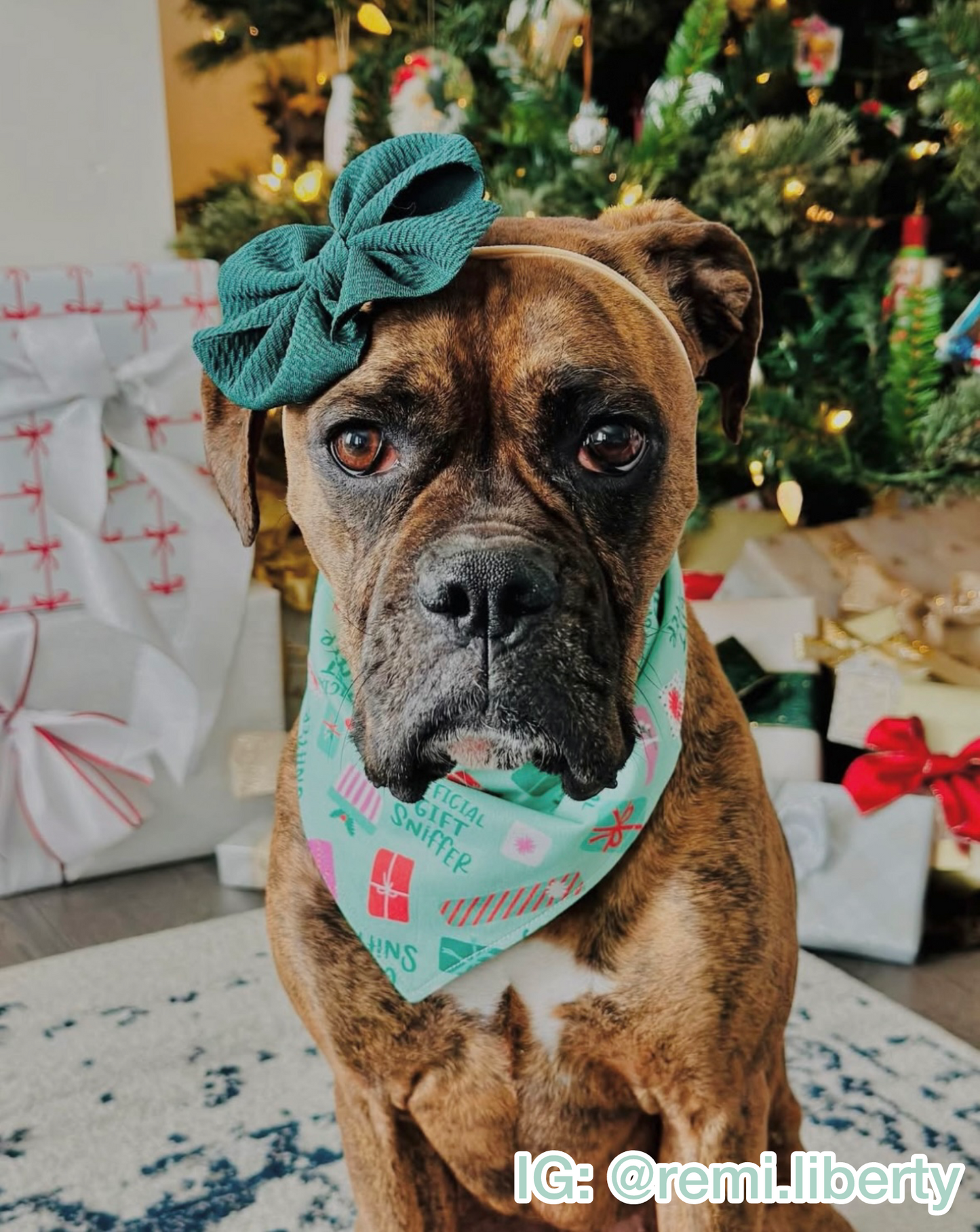 Official Gift Sniffer Bandana