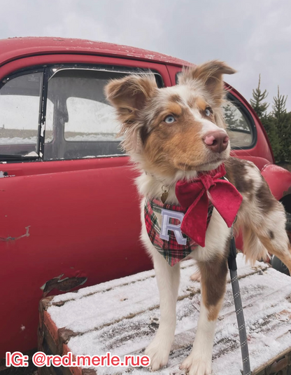 Classic Christmas Plaid w/ Letter Patch Bandana