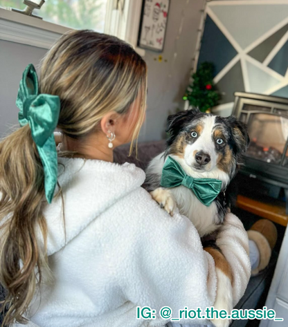 Mistletoe Green Velvet Pet Bow
