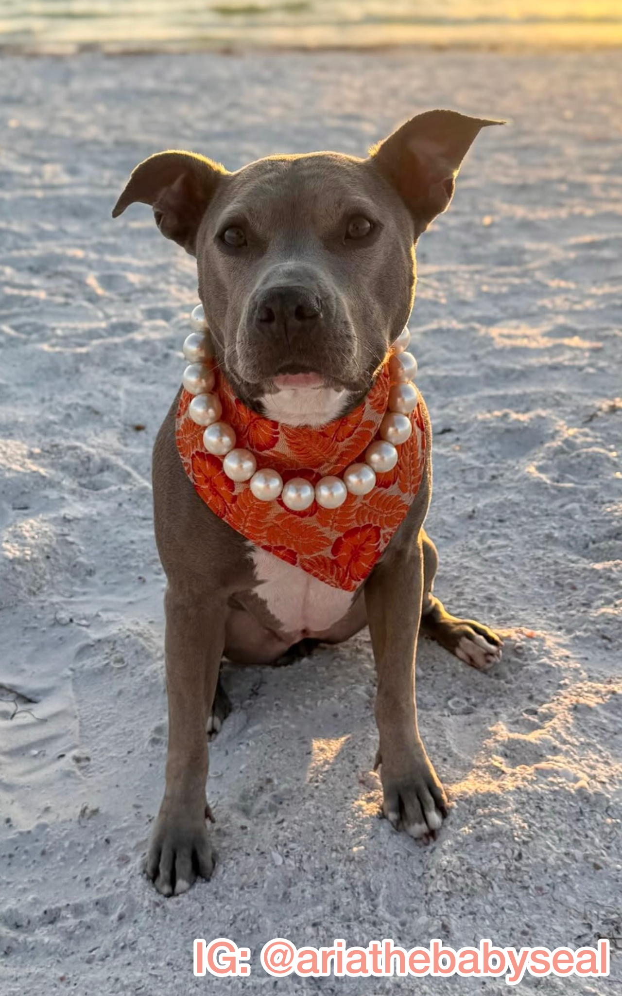 Palm Paradise Bandana
