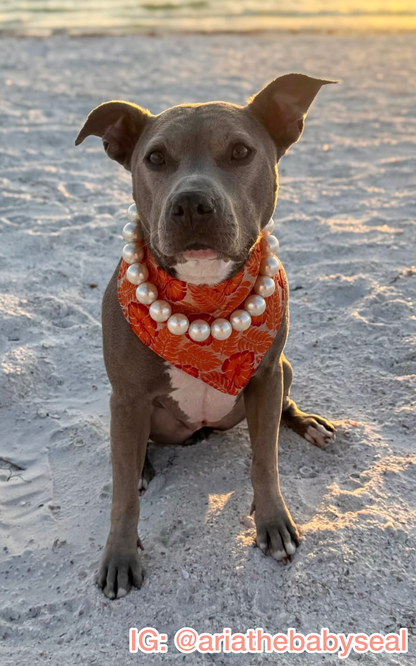 Palm Paradise Bandana