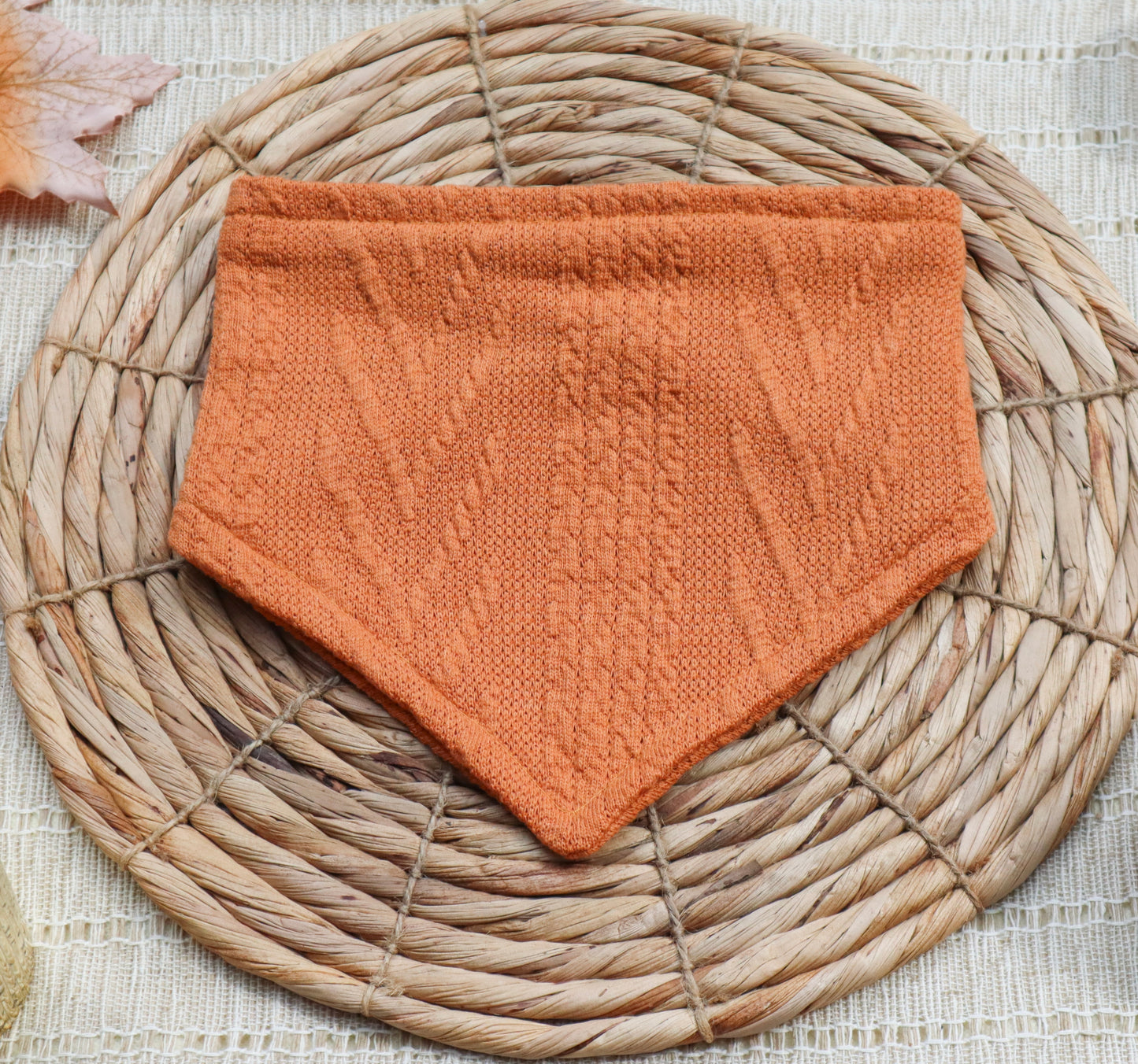 Rustic Orange Sweater Weather Bandana