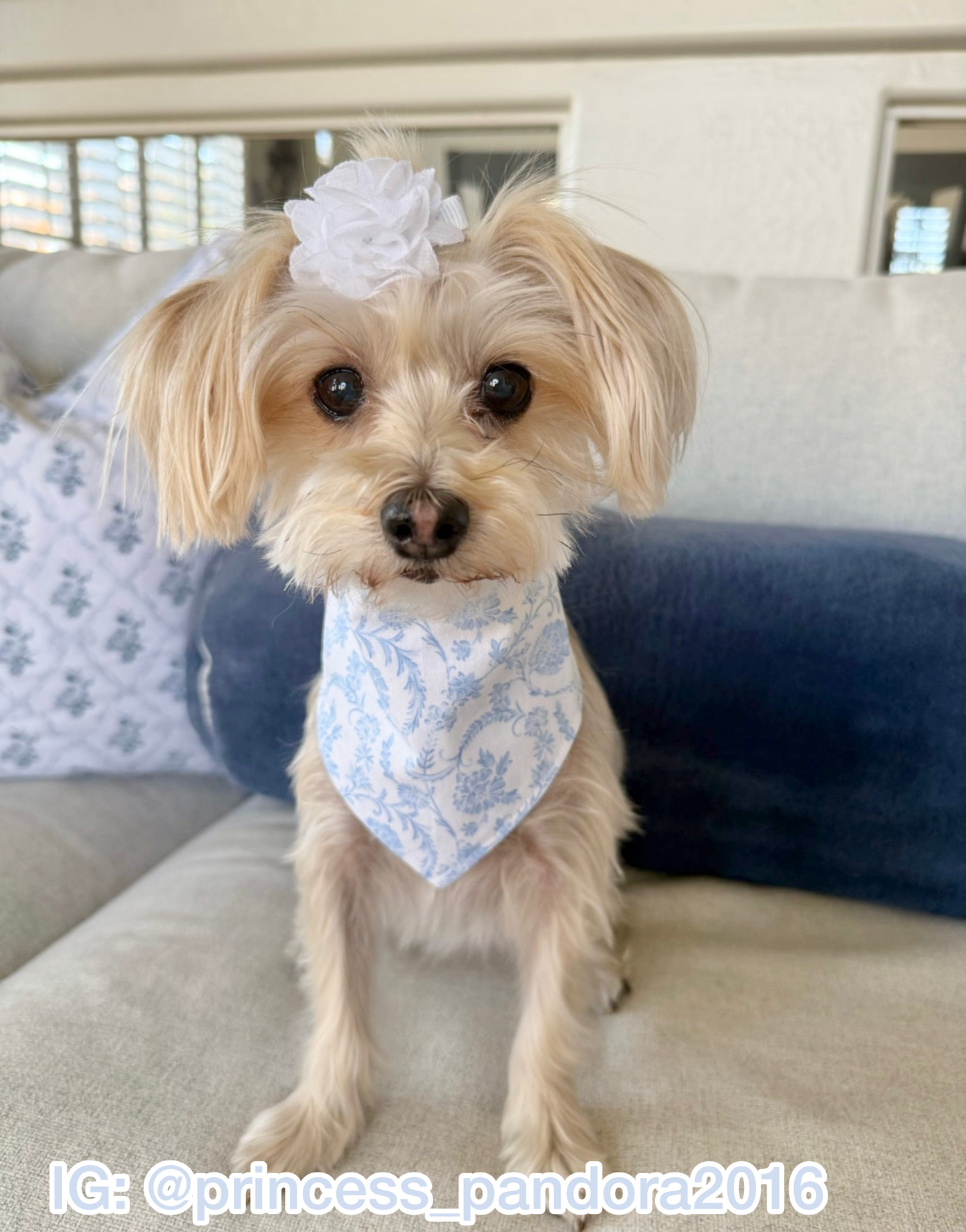 Blue Evelyn Bandana