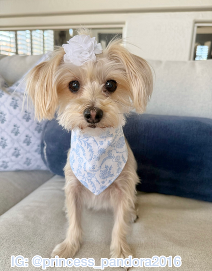 Blue Evelyn Bandana