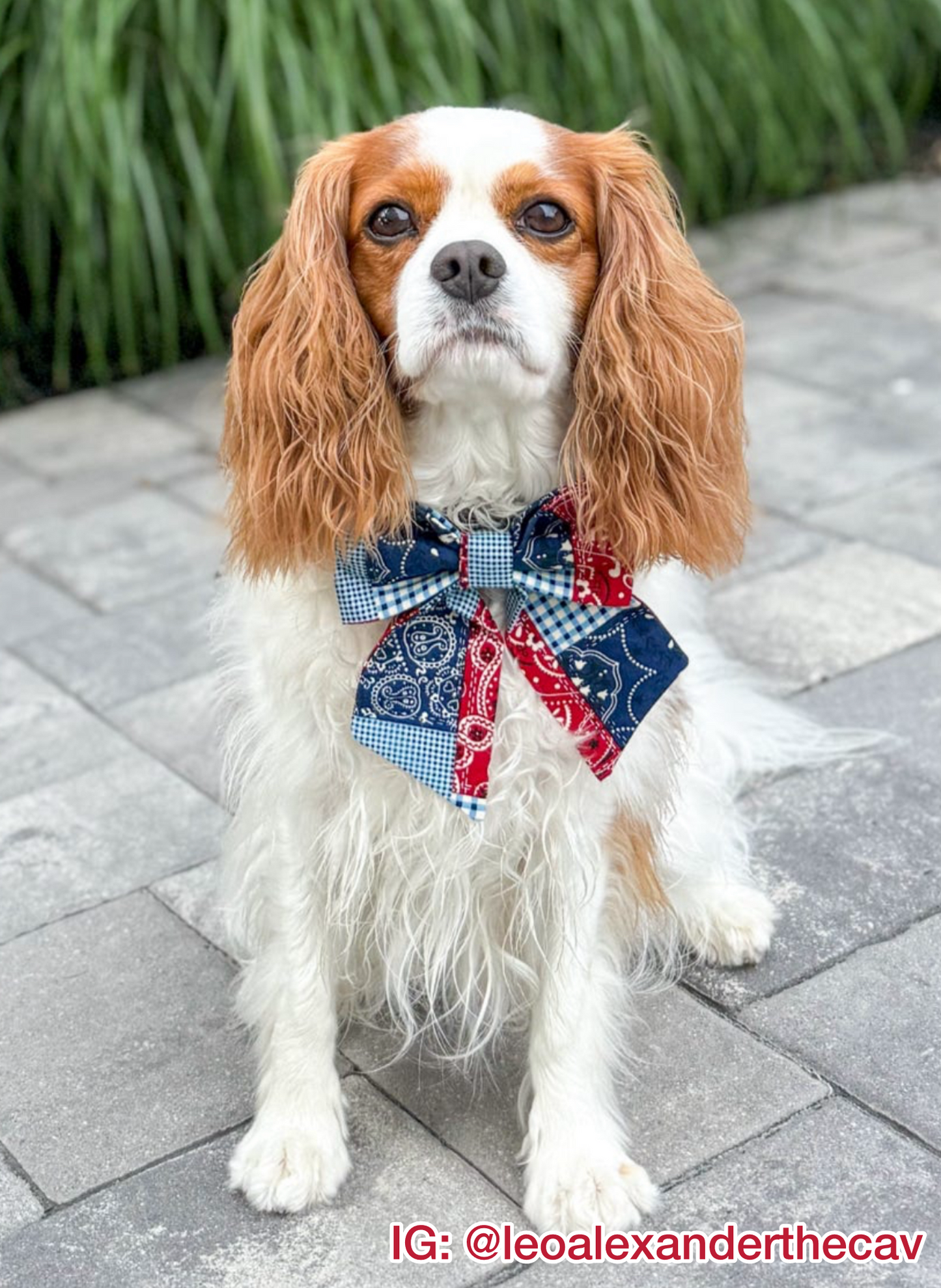 Patriotic Patchwork Pet Bow