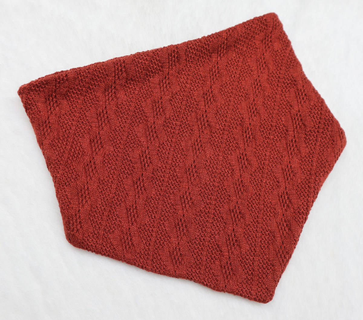 Toasted Pumpkin Sweater Weather Bandana