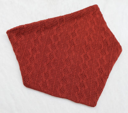 Toasted Pumpkin Sweater Weather Bandana