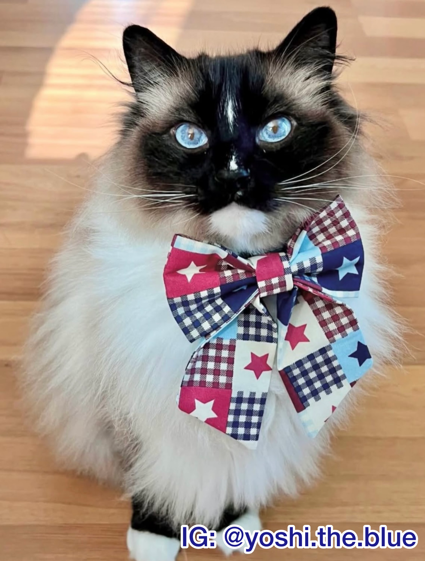 Patriotic Stars Pet Bow