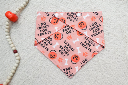 Orange Tricks for Treats Bandana