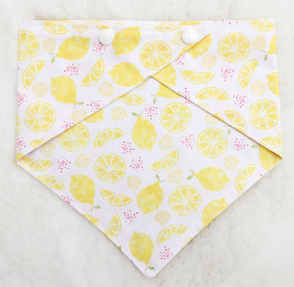 Main Squeeze Bandana