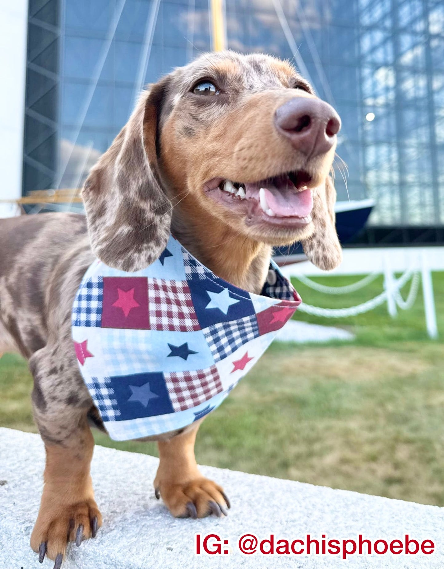 Patriotic Stars Bandana