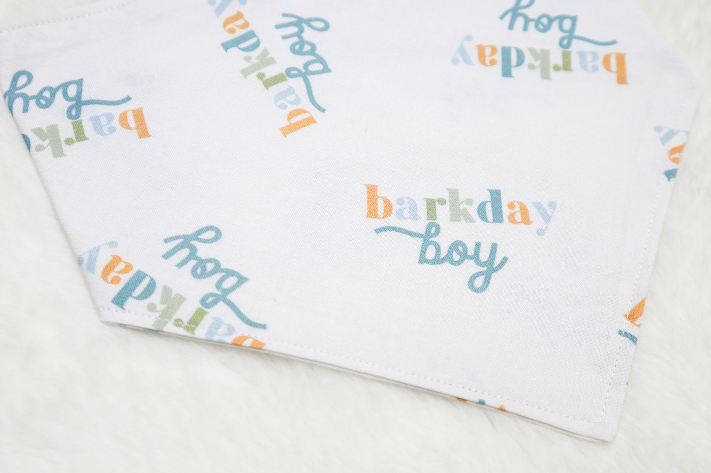 Barkday Boy Bandana