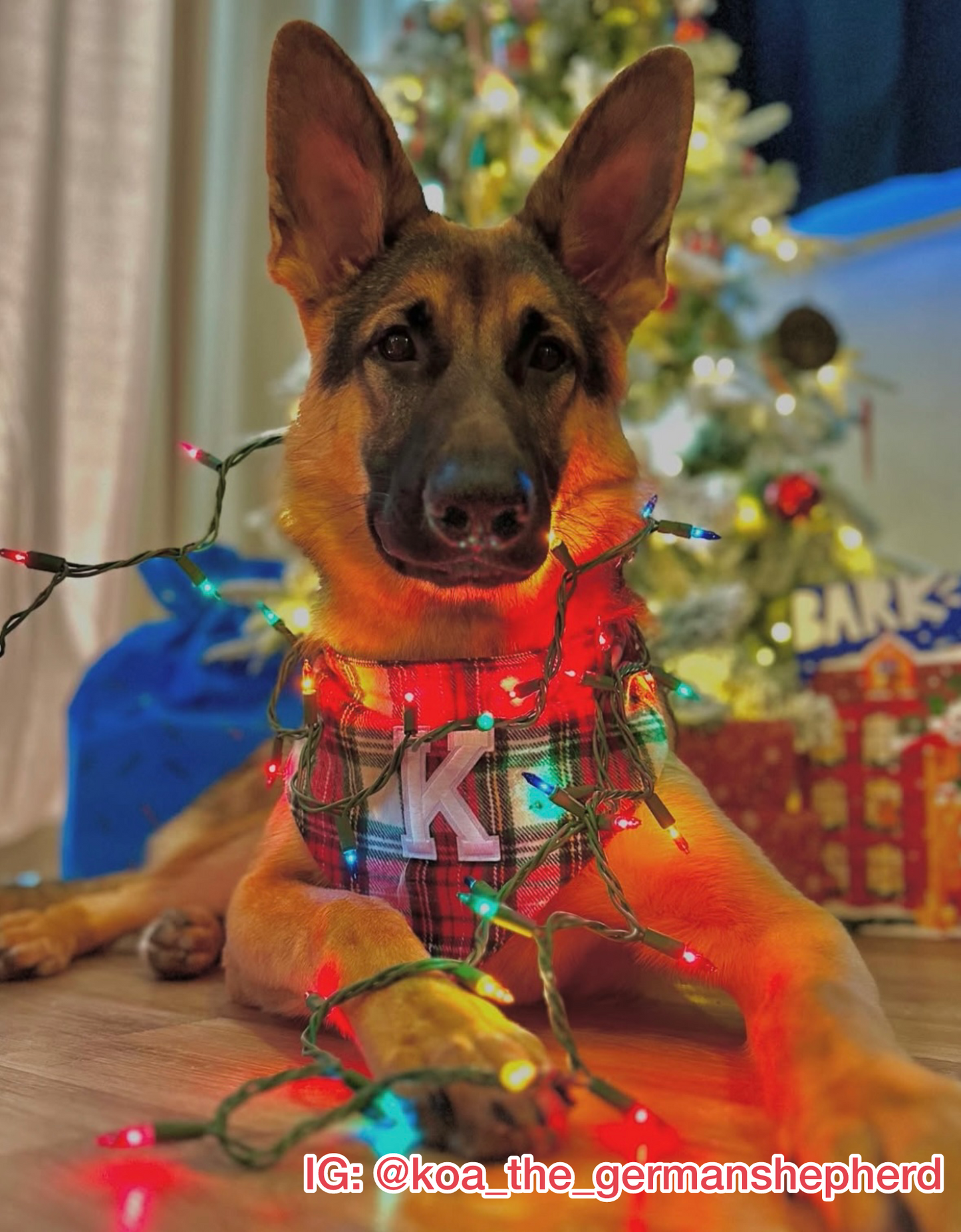 Classic Christmas Plaid w/ Letter Patch Bandana