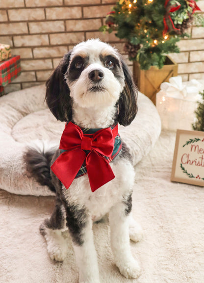 Ruby Satin Pet Bow