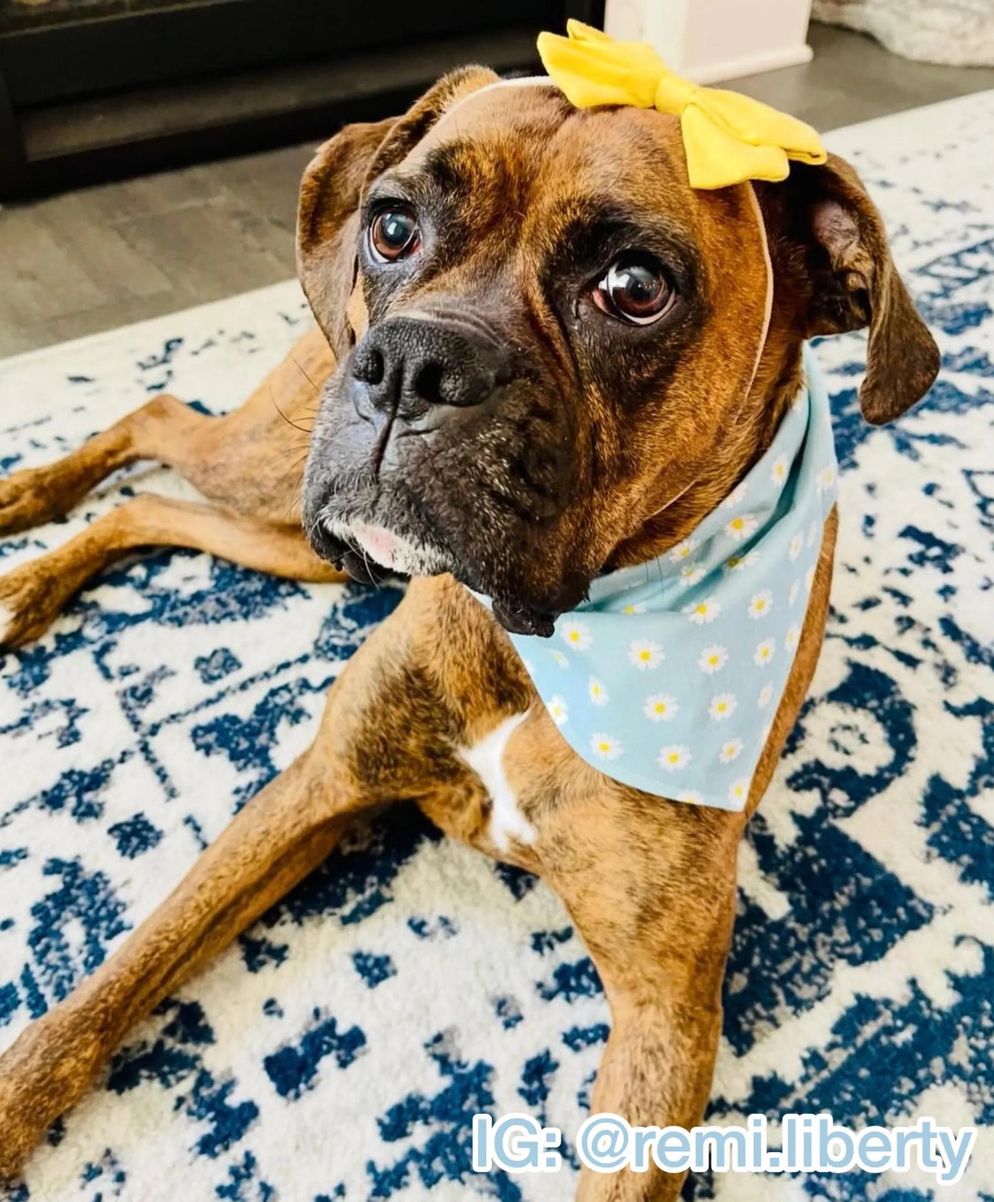 Delicate Daisies Bandana