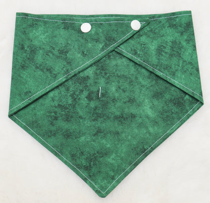 Wrapped in Green Bandana