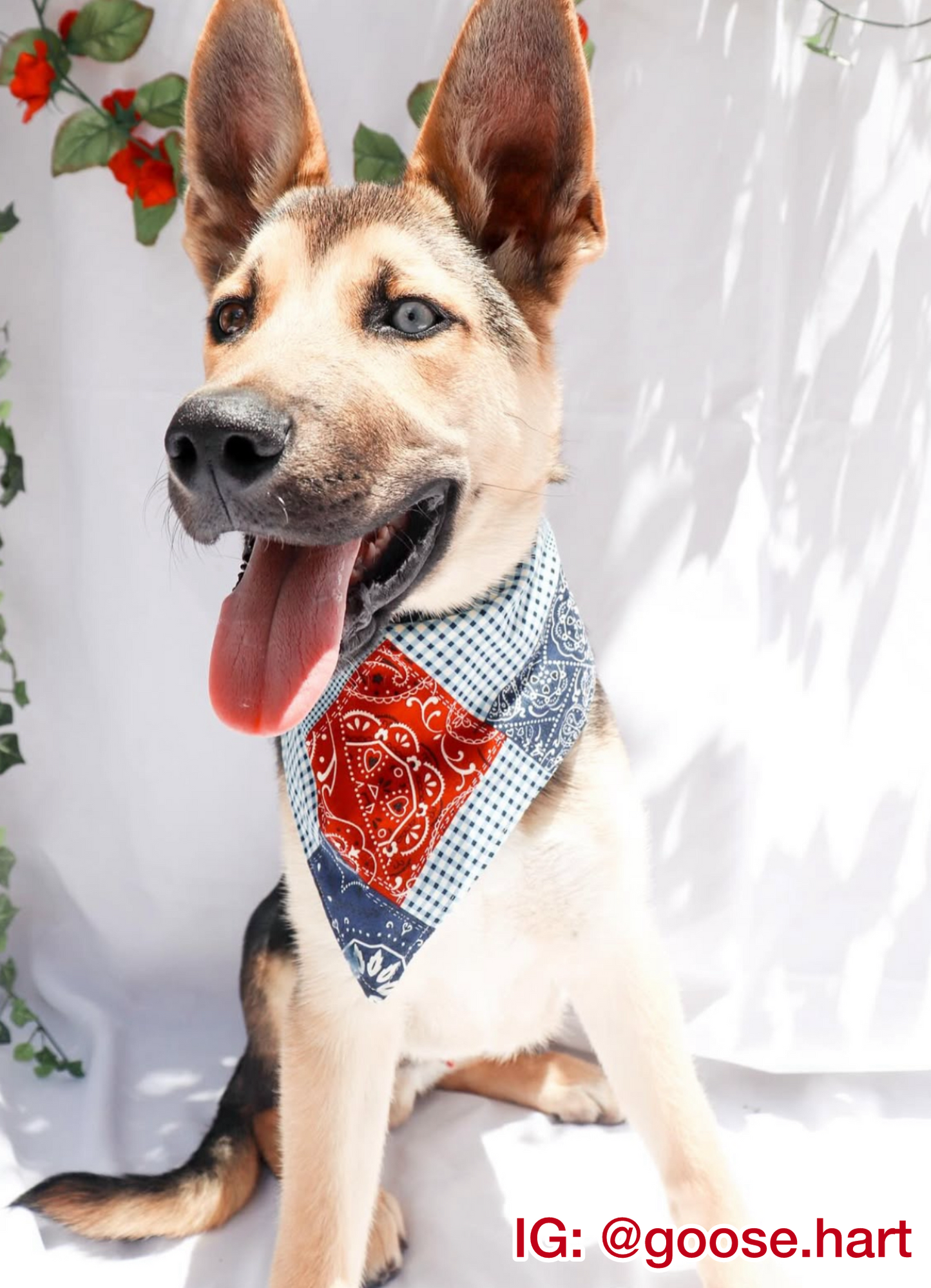 Patriotic Patchwork Bandana