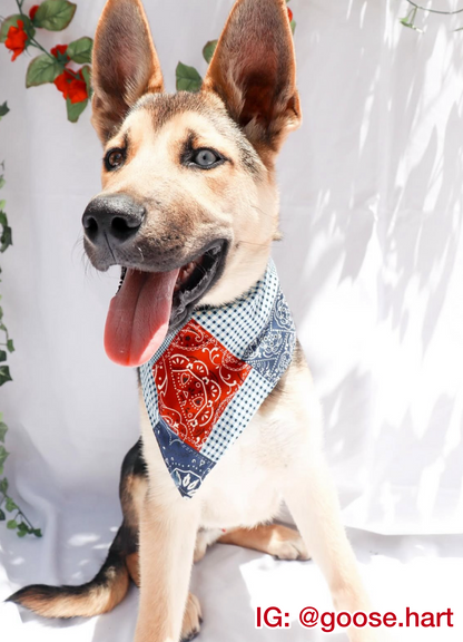 Patriotic Patchwork Bandana