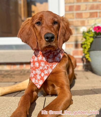 Tropical Florals Bandana