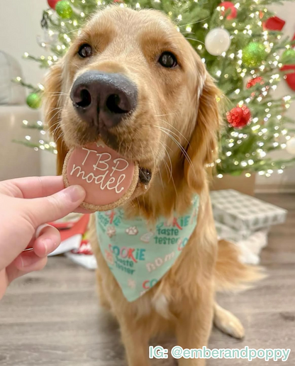 Cookie Taste Tester Bandana