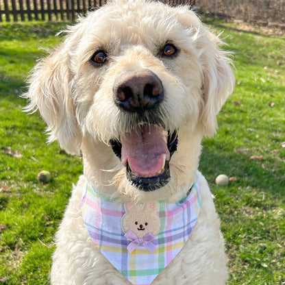 Hoppy Bunny Multicolor Plaid Bandana