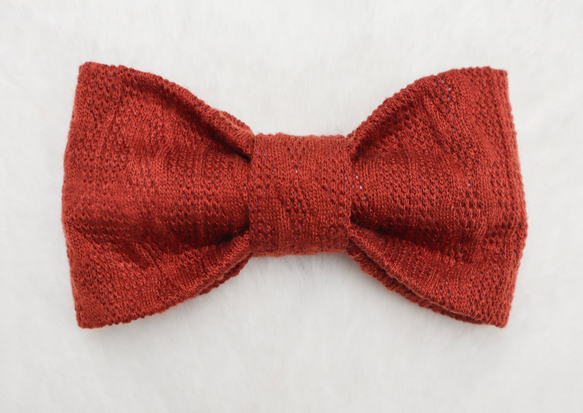 Toasted Pumpkin Sweater Weather Pet Bow
