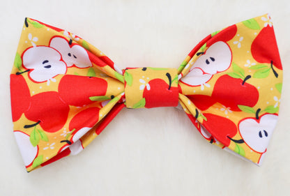 Apple Bloom Pet Bow