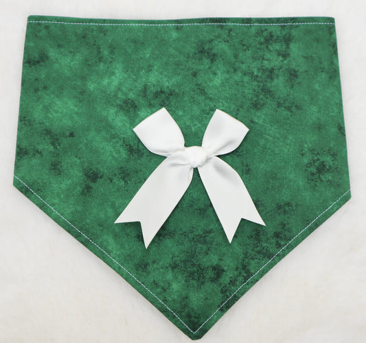 Wrapped in Green Bandana