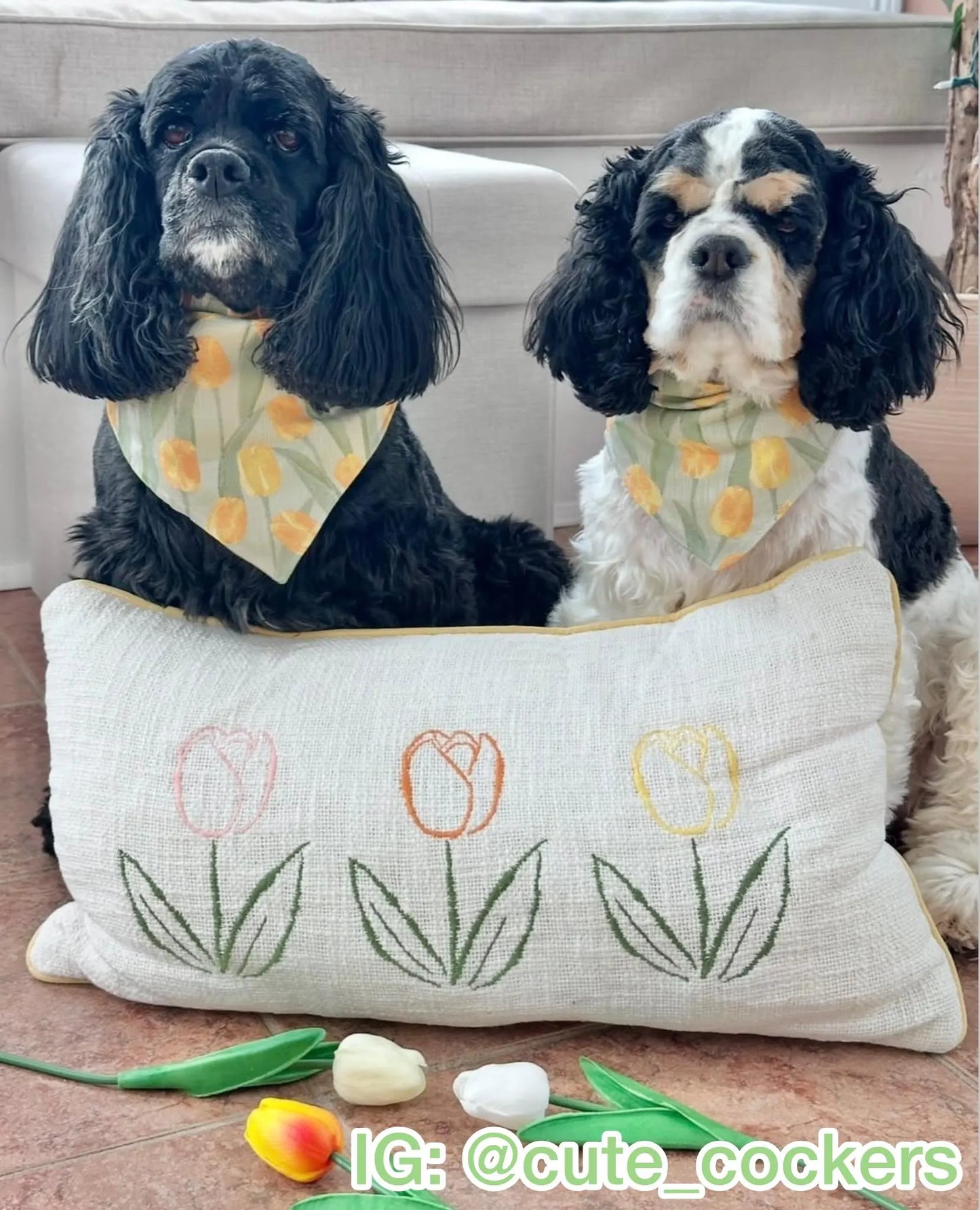 Field of Tulips Bandana