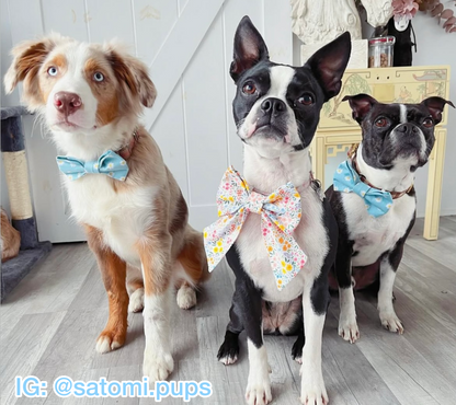 Delicate Daisies Pet Bow